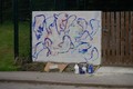 DSC_0015.jpg