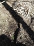 SAMPLED_4177994_740_600___.jpg