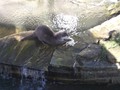 SAMPLED_4046442_740_600___.jpg