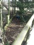 SAMPLED_4046454_740_600___.jpg