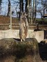 SAMPLED_4046534_740_600___.jpg