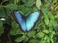 SAMPLED_4046540_740_600___.jpg