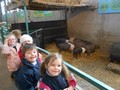 DSCN3462.JPG