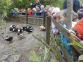 DSCN3471.JPG