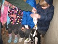 IMG_6085.JPG