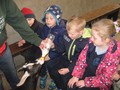 IMG_6087.JPG