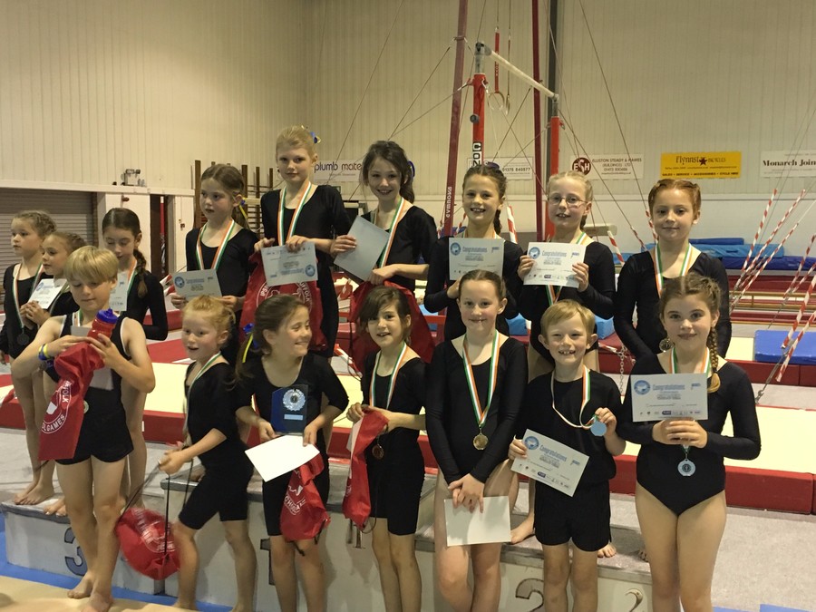 Year 3/4 Gymnasts in 2nd place at Pipers Vale, May 2016 and also second place in the County - July 2016!