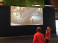 IMG_1351.JPG