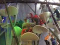IMG_1432.JPG