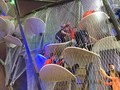 IMG_1434.JPG