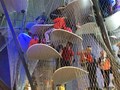 IMG_1435.JPG