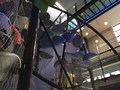 IMG_1438.JPG