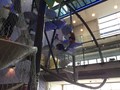 IMG_1441.JPG