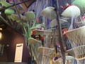 IMG_1443.JPG