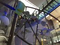 IMG_1446.JPG