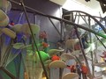 IMG_1449.JPG