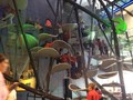 IMG_1452.JPG