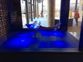 IMG_1455.JPG
