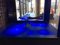 IMG_1456.JPG