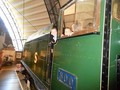 DSCN5539.JPG
