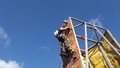DSCF1390.JPG