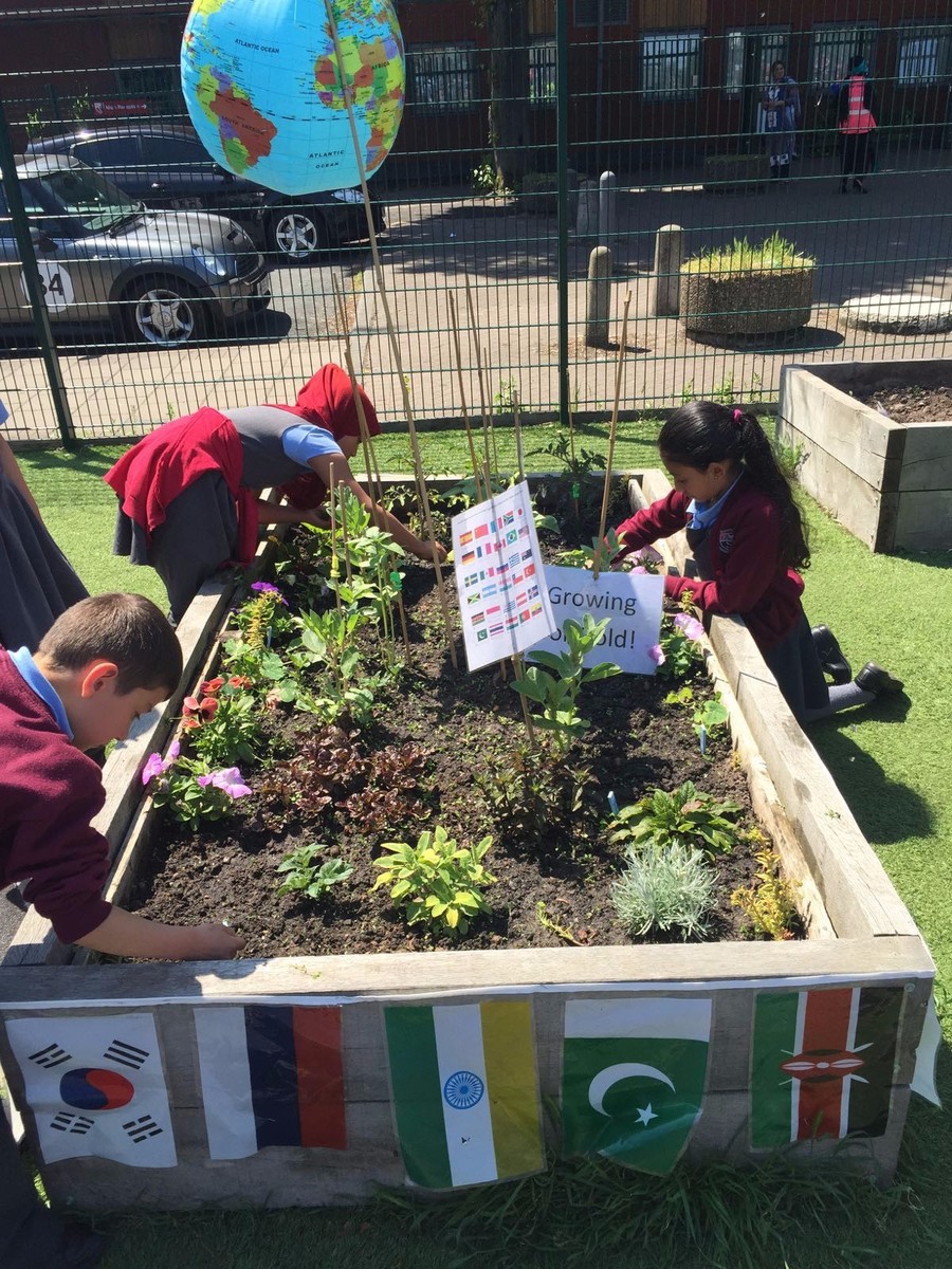 Each year group was given a budget to plan and grow plants in the year group bedding boxes.  As it is a competition, the boxes will be judged in July by the School Council on different criteria including theme, design, colour, variety of vegetables and flowers etc.  The pupils have really enjoyed getting involved and some visit their box on a daily basis - especially during break time or dinner time.