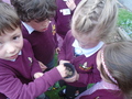 DSC02220.JPG