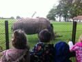 IMG_2089.JPG