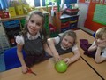 DSC01390.JPG