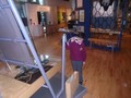 DSC01540.JPG