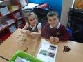 DSC01854 - Copy.JPG