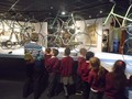 DSC01946 - Copy.JPG