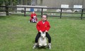 20160525_115309.jpg