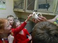 DSCN4181.JPG