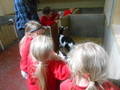 DSCN4190.JPG
