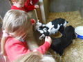 DSCN4191.JPG