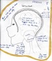 Brain4.jpg