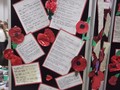 Poppies2.JPG