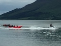 IMG_8494.JPG