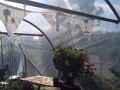 IMG_1597.JPG