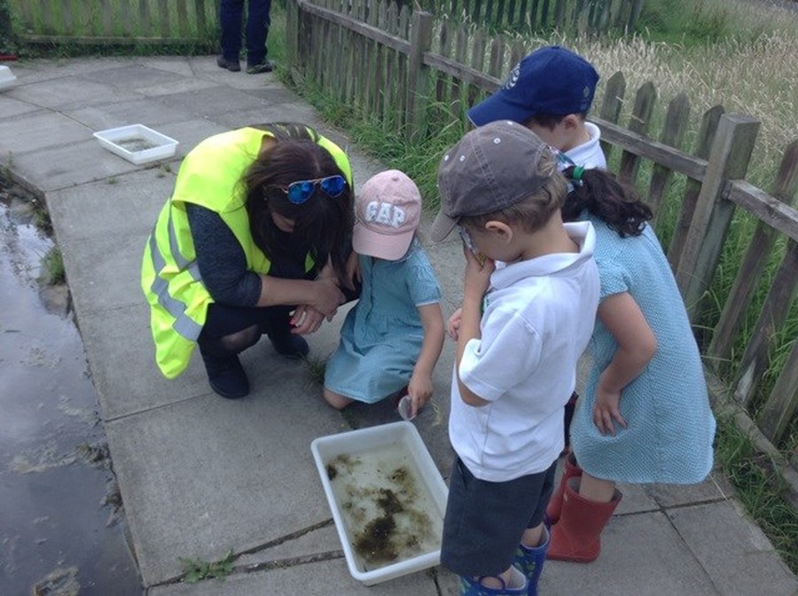 Foundation Stage Trip to the Welsh Harp July 2016