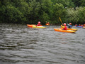 DSCF4731.JPG