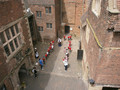 yellow group 079.JPG
