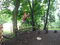 DSCF4816.JPG