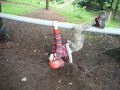 DSCF4822.JPG