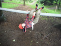 DSCF4823.JPG