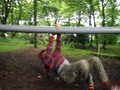 DSCF4824.JPG