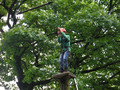 DSCF4827.JPG