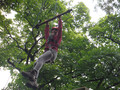 DSCF4840.JPG