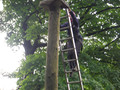 DSCF4856.JPG